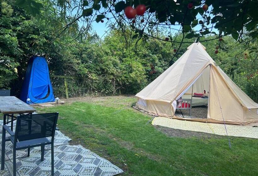 چادر با خدمات رفاهی استاندارد, Willow Barn
