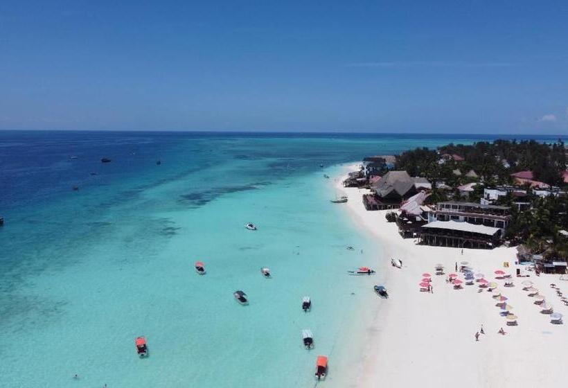 اتاق استاندارد با تراس, Max Hotel Nungwi