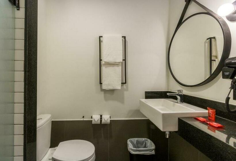 Апартаменты 1 Спальня, Ibis Ribeirão Preto Vila Do Golf