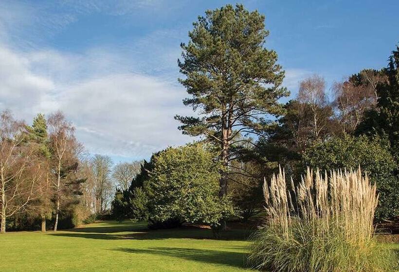Номер Executive, Brandshatch Place & Spa
