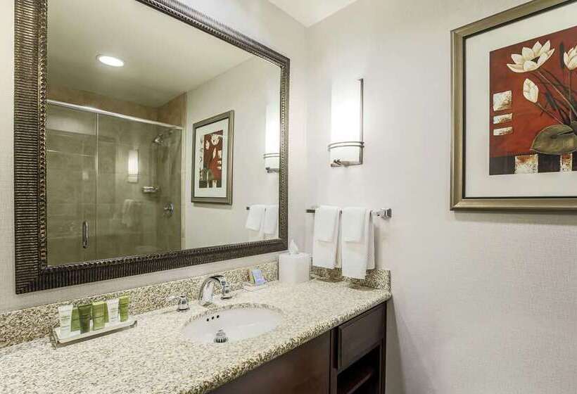 Стандартный Номер Кровать Кинг, Hilton Santa Clara