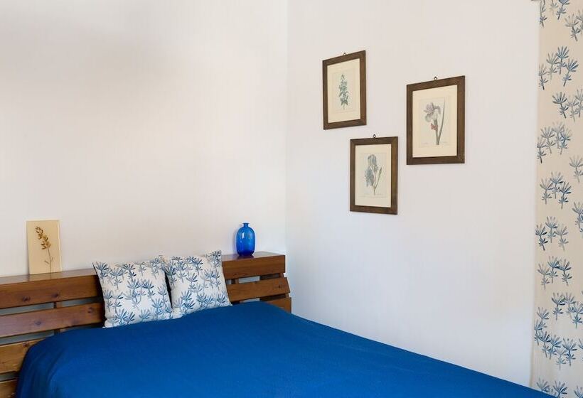 اتاق استاندارد, Mojocohouse
