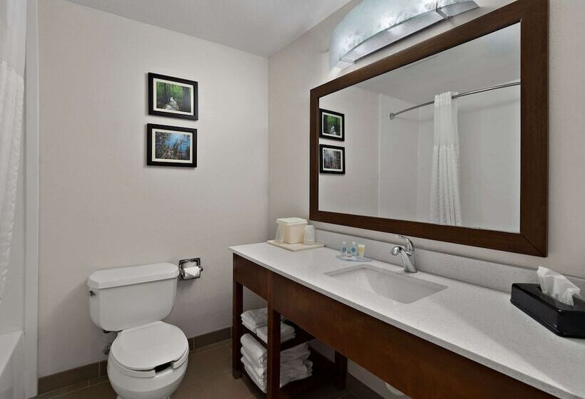 스위트, Comfort Inn & Suites Santee I95