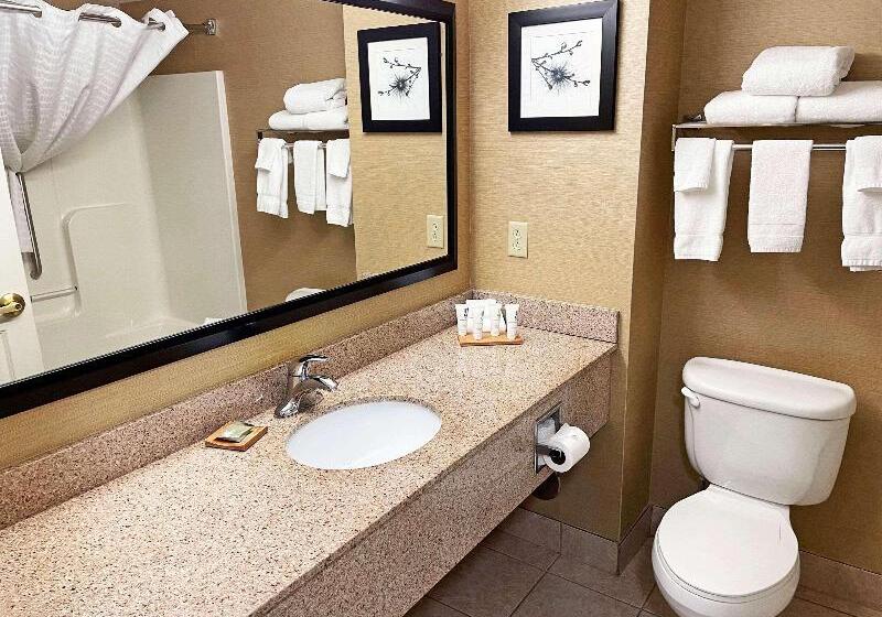 Номер Стандарт Адаптированный для Инвалидов, Country Inn & Suites By Radisson, Findlay, Oh