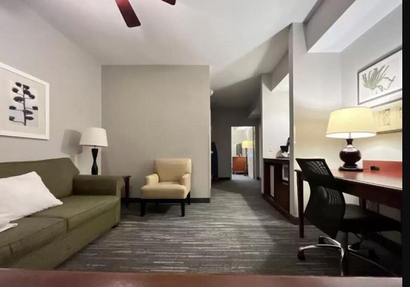 Люкс Адаптированный для Инвалидов, Country Inn & Suites By Radisson, Harrisburg Northeast   Hershey
