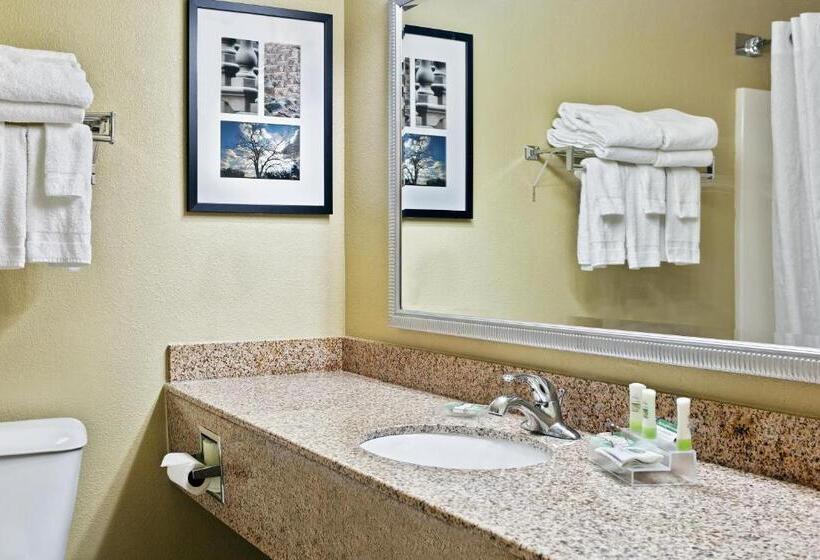 استودیو استاندارد با تخت کینگ, Country Inn & Suites By Radisson, Moline Airport, Il