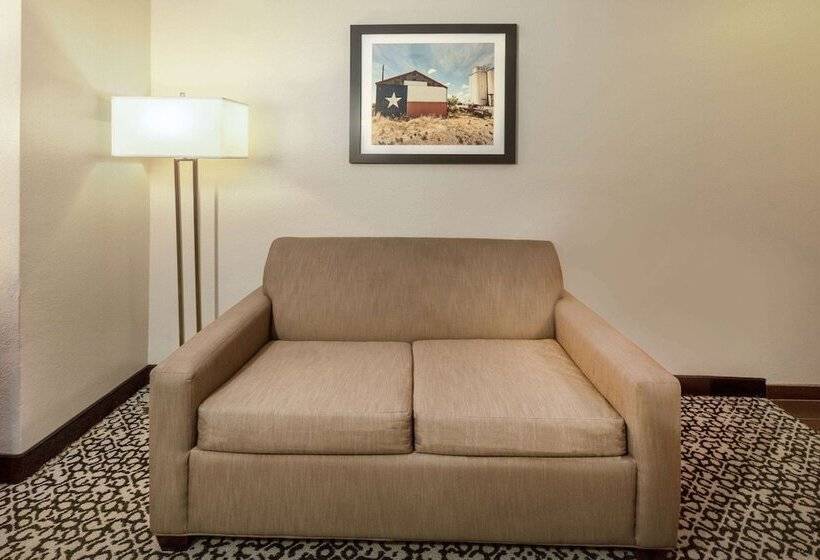Люкс Адаптированный для Инвалидов, La Quinta By Wyndham Rockwall