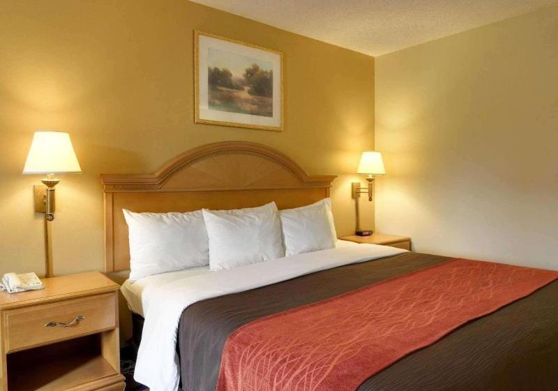 Стандартный Номер Кровать Кинг, Quality Inn & Suites Malvern