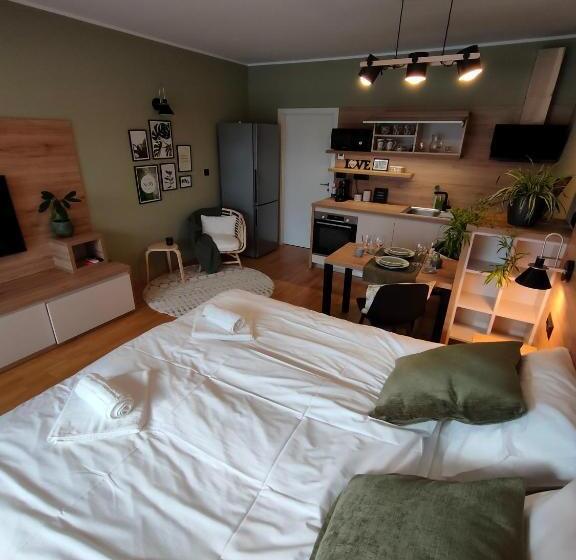 آپارتمان 1 خوابه, Bed & Breakfast Rezidenca Pipanova