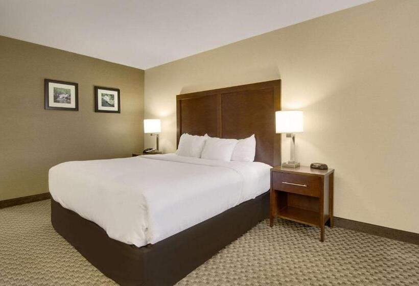 Номер Стандарт Кровать Кинг Адаптированный для Инвалидов, Comfort Inn Airport