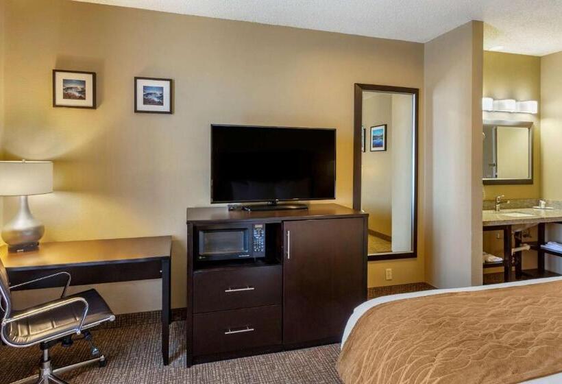 Люкс Superior, Comfort Inn Evanston I 80