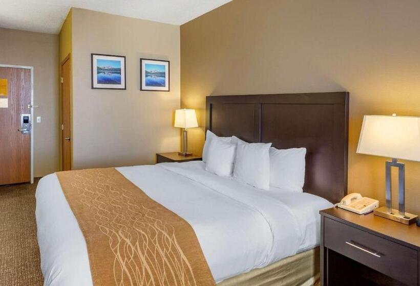 Номер Стандарт Кровать Кинг Адаптированный для Инвалидов, Comfort Inn Evanston I 80