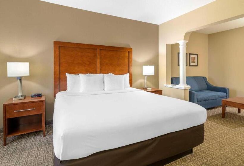 Стандартный Номер Кровать Кинг, Comfort Inn & Suites Dover Portsmouth