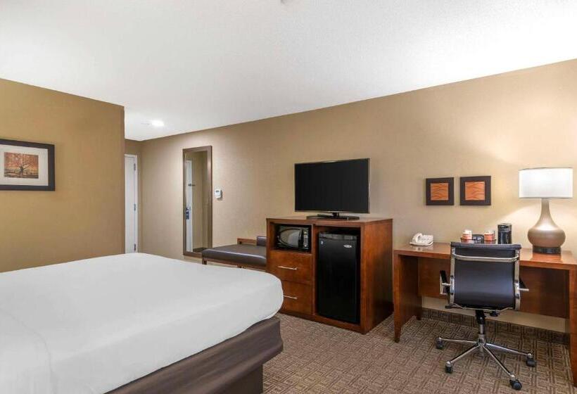 Стандартный Номер Кровать Кинг, Comfort Inn & Suites Dover Portsmouth