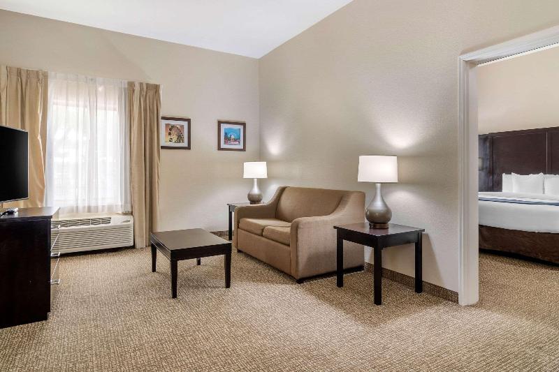 סוויטה, Comfort Inn & Suites Atlanta Smyrna