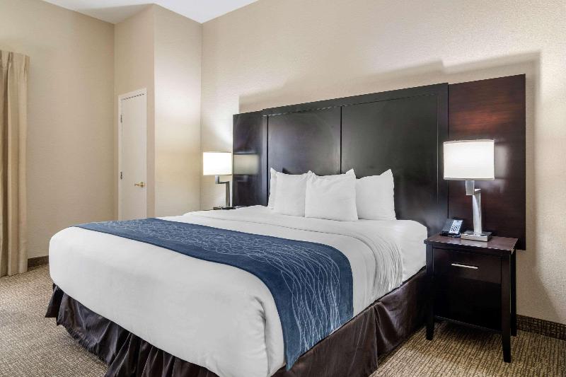 חדר סטנדרט עם מיטת קינג, Comfort Inn & Suites Atlanta Smyrna