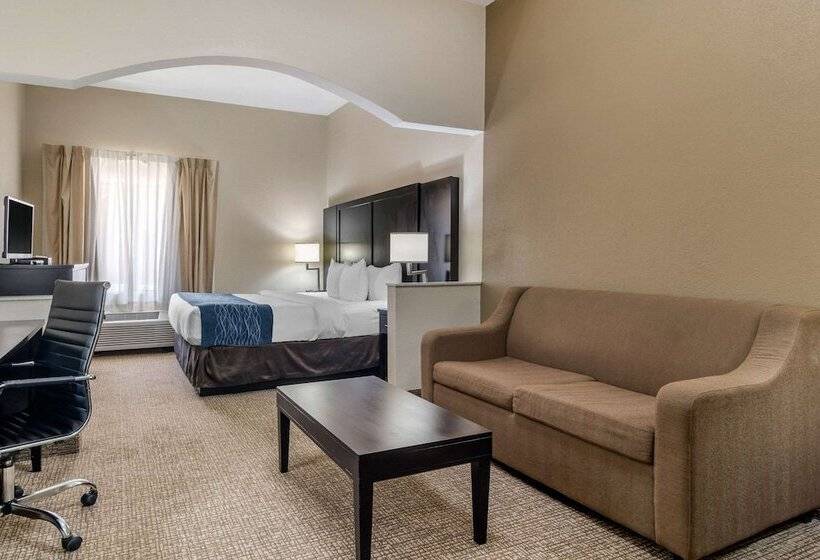 סוויטה, Comfort Inn & Suites Atlanta Smyrna