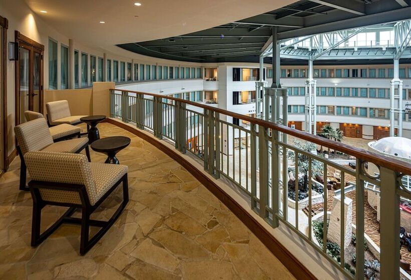 سوییت, Hilton Austin Airport