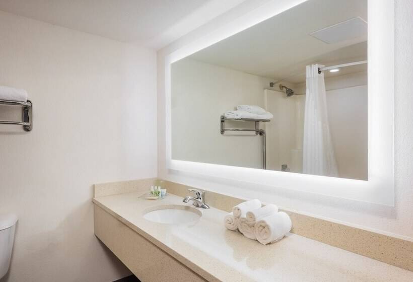 Номер Стандарт, Holiday Inn At Six Flags Saint Louis, An Ihg