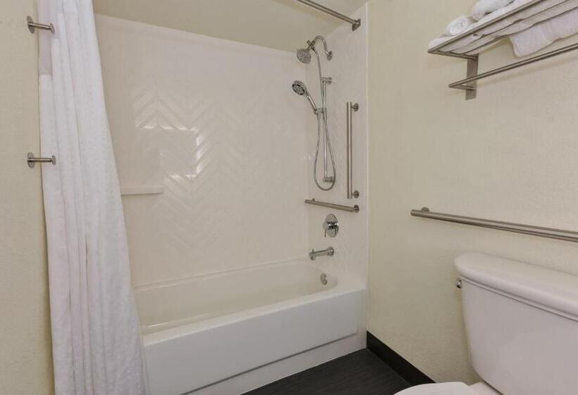 غرفة قياسية لذوى الاحتياجات الخاصة, Holiday Inn Morgantown   Reading Area, An Ihg