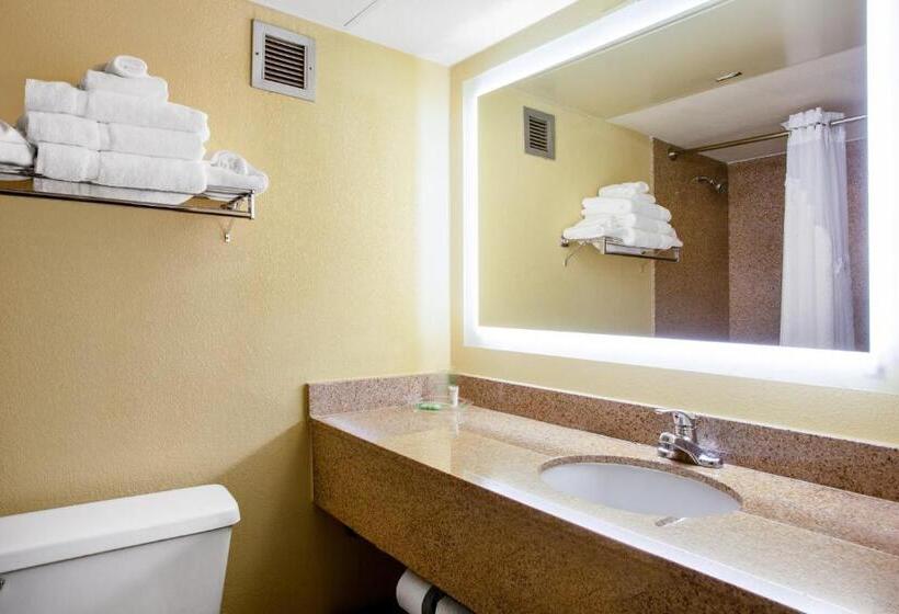 Стандартный Номер Кровать Кинг, Holiday Inn Morgantown   Reading Area, An Ihg