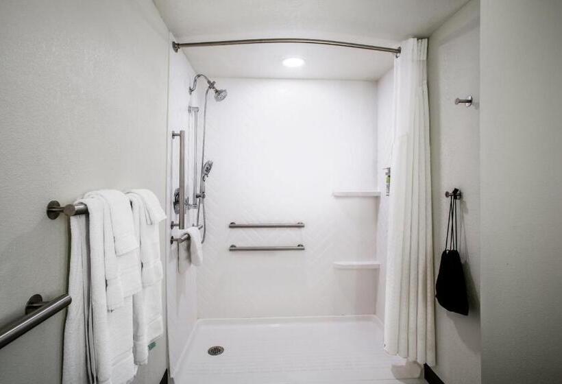 Номер Deluxe Адаптированный для Инвалидов, Holiday Inn Morgantown   Reading Area, An Ihg