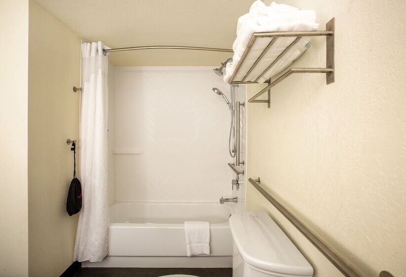 غرفة قياسية لذوى الاحتياجات الخاصة, Holiday Inn Morgantown   Reading Area, An Ihg