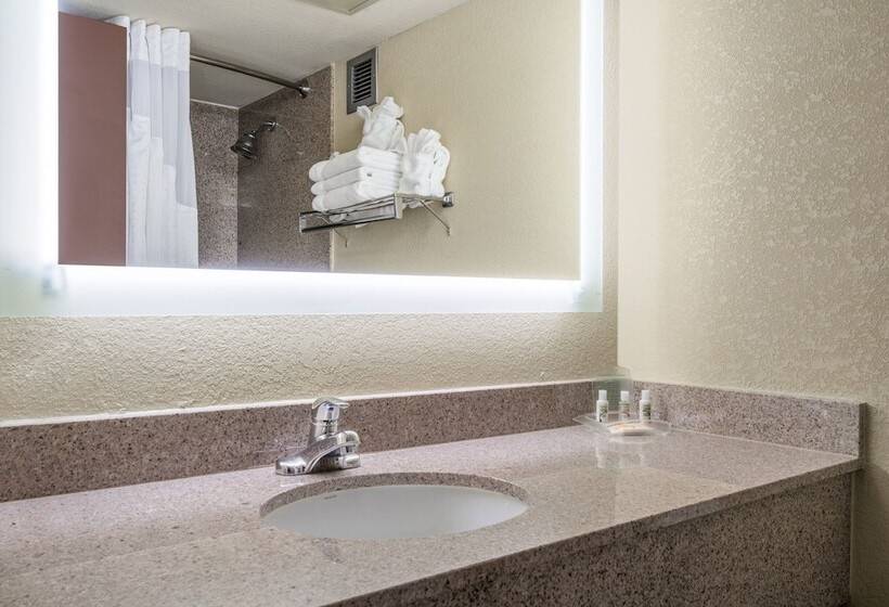 Номер Стандарт Адаптированный для Инвалидов, Holiday Inn Morgantown   Reading Area, An Ihg