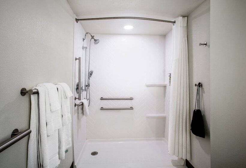 غرفة قياسية لذوى الاحتياجات الخاصة, Holiday Inn Morgantown   Reading Area, An Ihg