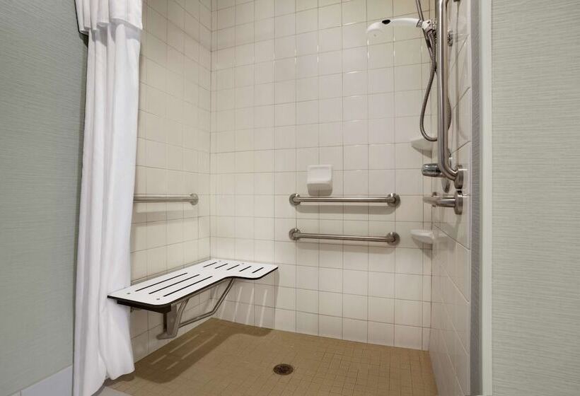 Люкс Адаптированный для Инвалидов, Homewood Suites By Hilton Houstonwillowbrook Mall