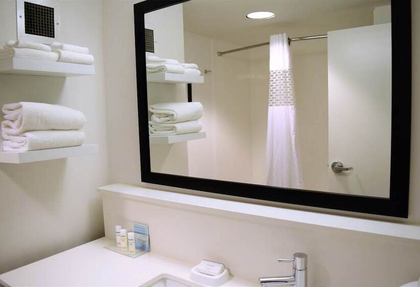 חדר סטנדרט, Hampton Inn Debary/deltona