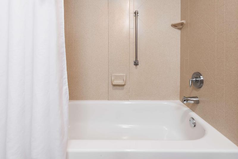 חדר דחוקס עם מיטת קינג, Hampton Inn Ellenton/bradenton