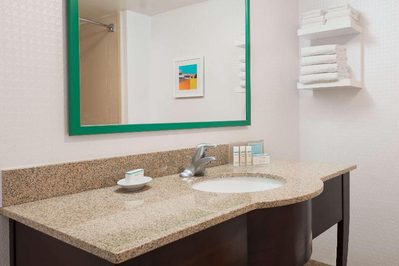חדר דחוקס עם מיטת קינג, Hampton Inn Ellenton/bradenton