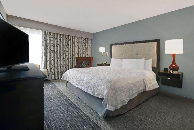 장애인을 위한 킹사이즈 침대 스탠다드 룸, Hampton Inn Greenville I 385   Woodruff Rd