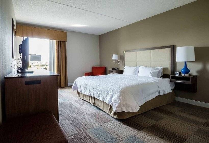 장애인을 위한 킹사이즈 침대 스탠다드 룸, Hampton Inn Somerset