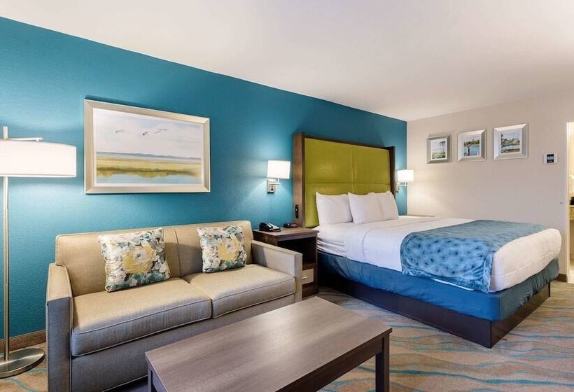 Номер Стандарт Адаптированный для Инвалидов, Quality Inn Gulfport I10
