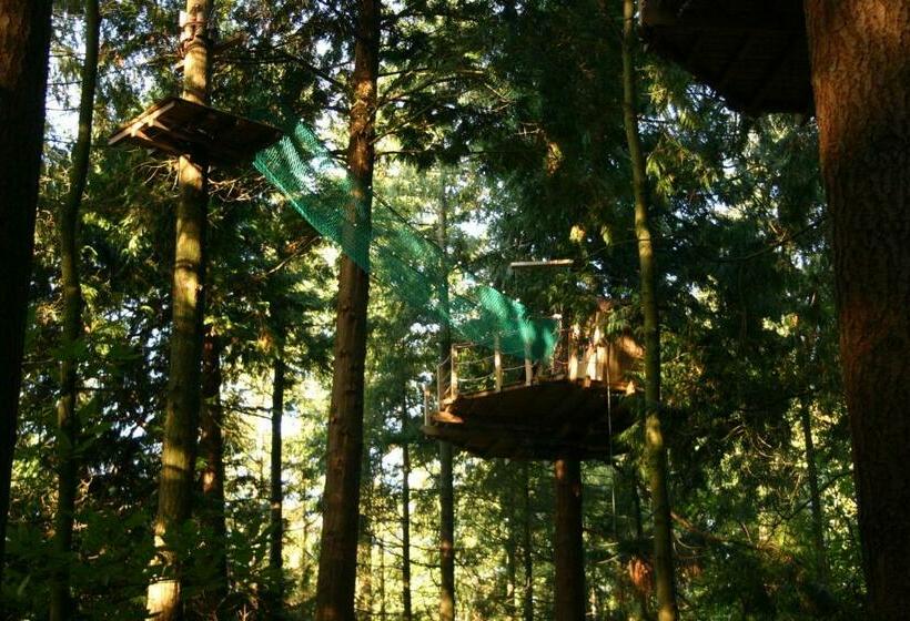 Дом 1 Спальня, Insolite Dans Les Arbres Les Ormes, Epiniac