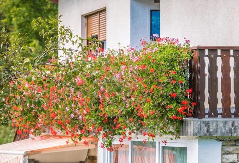 اتاق لوکس, Apartments And Rooms With Parking Space Jezerce, Plitvice   17768