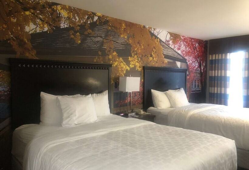 ２ダブルベッドのスタンダードルーム, Surestay Plus By Best Western Corydon