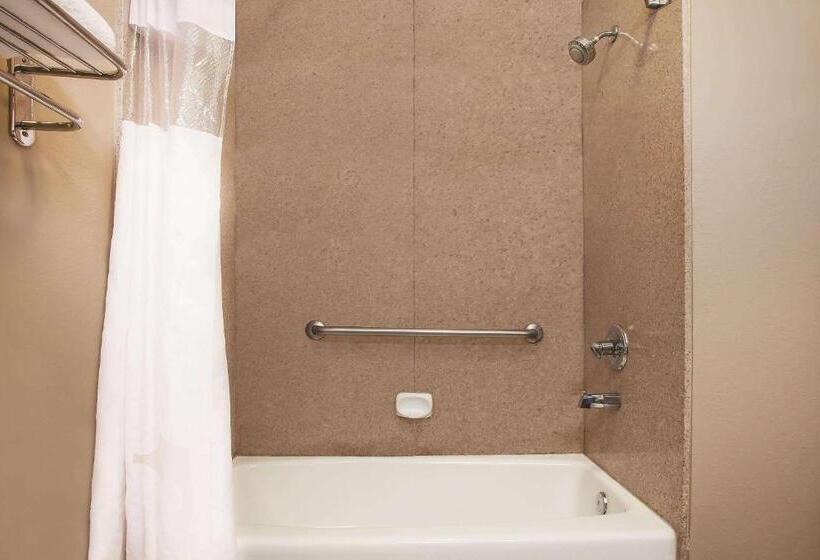 장애인을 위한 퀸사이즈 스탠다드 룸, La Quinta Inn & Suites By Wyndham Beaumont West