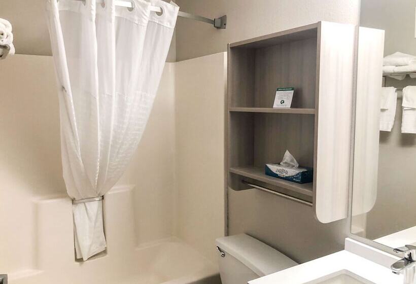 Номер Стандарт Адаптированный для Инвалидов, Microtel Inn & Suites By Wyndham Eagan/st Paul