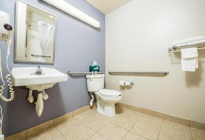 장애인을 위한 스탠다드 룸, Microtel Inn & Suites By Wyndham Palm Coast I95