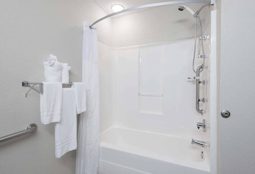 장애인을 위한 스탠다드 룸, Microtel Inn & Suites By Wyndham Greenville / Woodruff Rd
