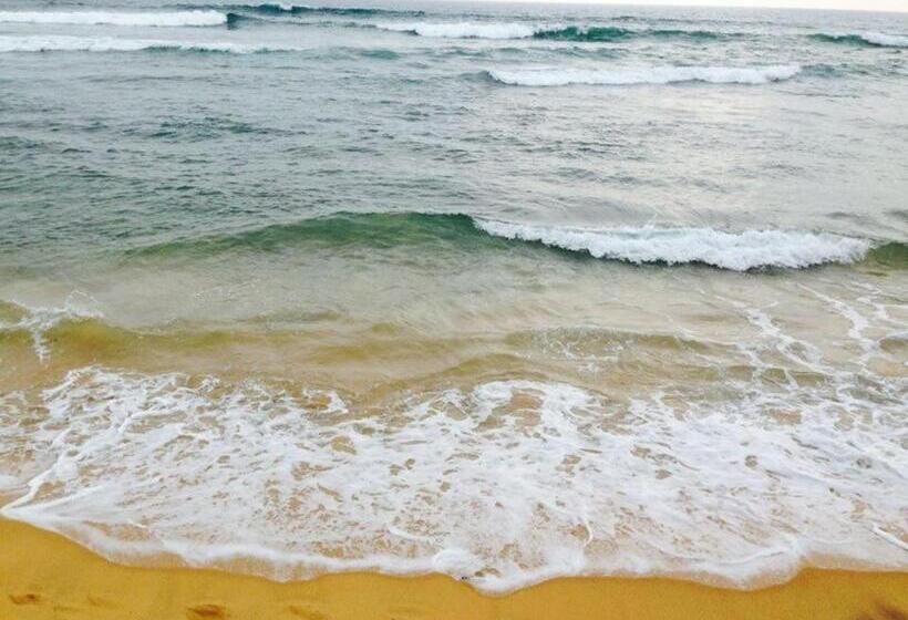 Номер Стандарт Трехместный, New Sea Lion Guest House