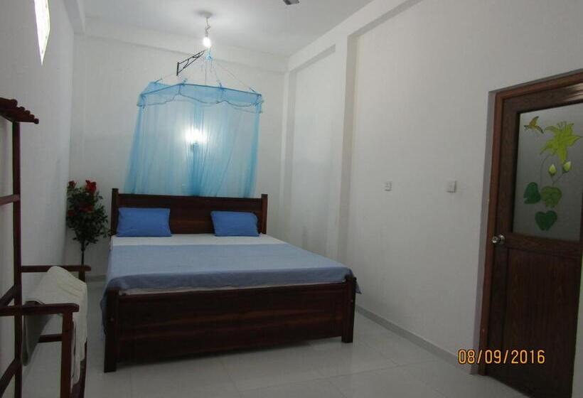 Номер Стандарт, New Sea Lion Guest House