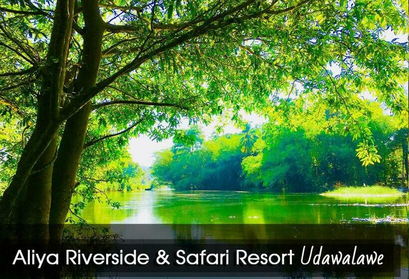 标准间带湖景, Aliya Riverside & Safari Resort