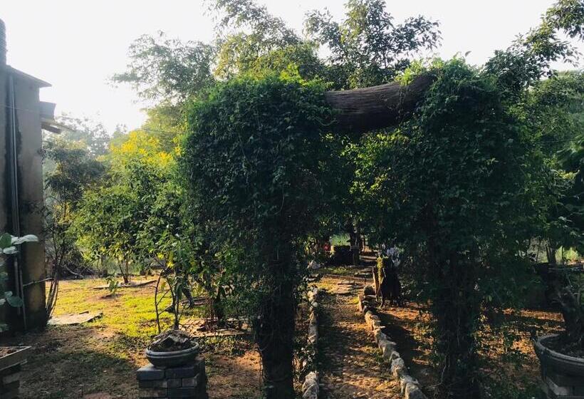 标准间带湖景, Aliya Riverside & Safari Resort