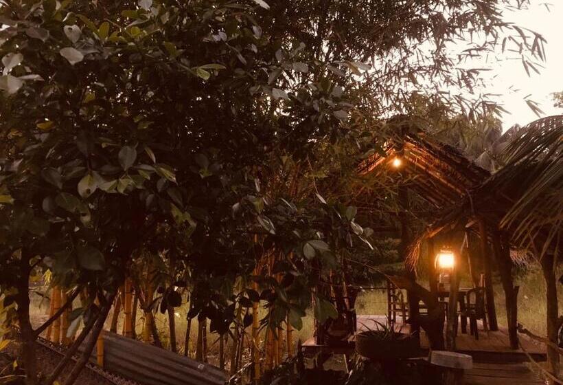 带大床的标准间, Aliya Riverside & Safari Resort