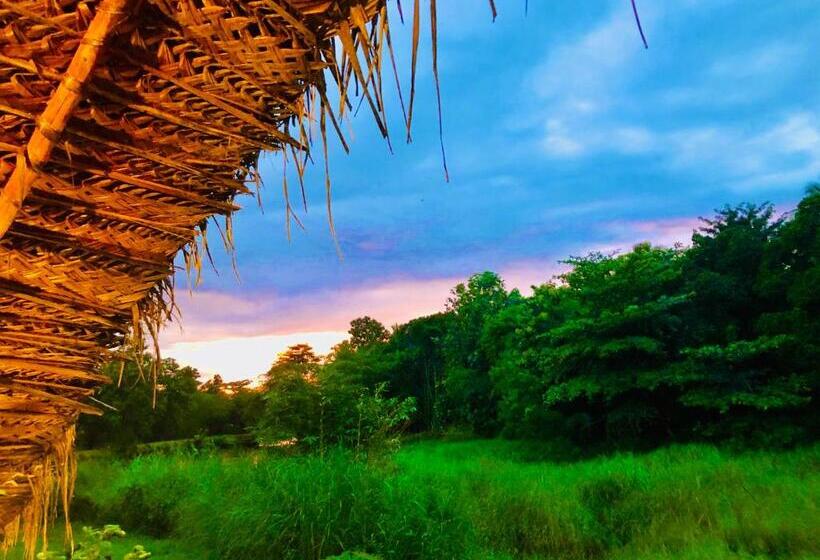 带大床的标准间, Aliya Riverside & Safari Resort