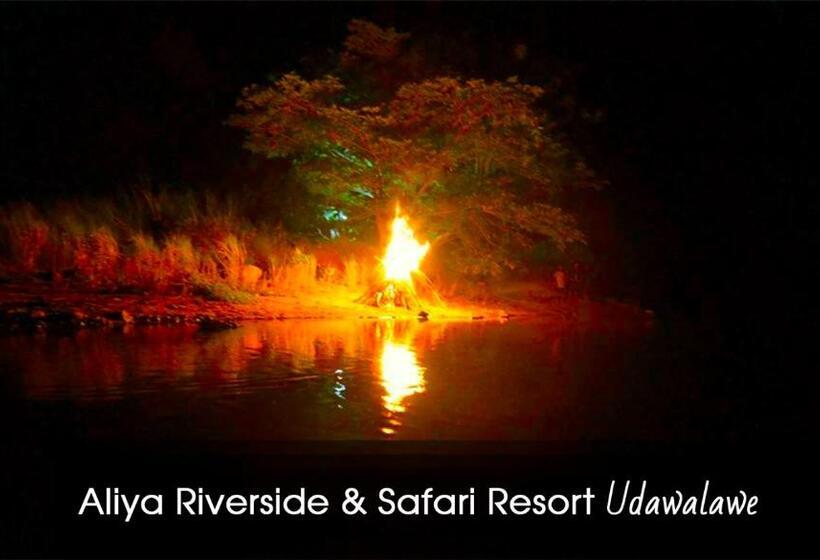 带大床的标准间, Aliya Riverside & Safari Resort